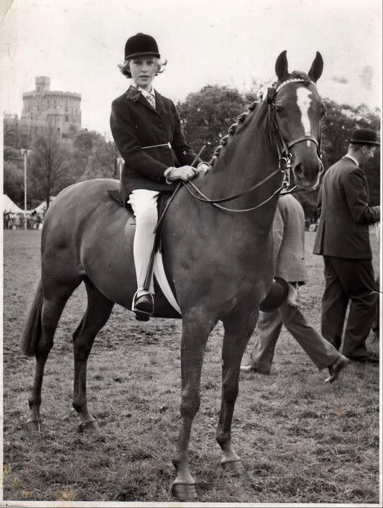 Pollyanna - Pony Of The Year before being exported to America. By Bwlch Valentino ex Pretty Polly